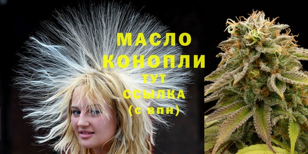 молекула духа Заволжье