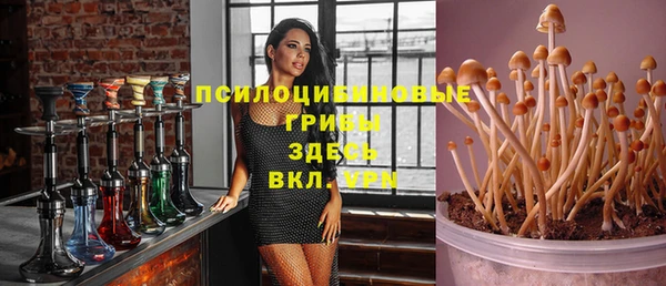 прущие крисы Зерноград