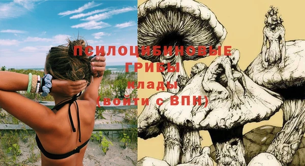 MDMA Зеленокумск