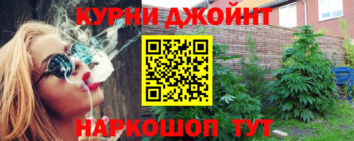 Конопля сатива  Вход с VPN  МАРИХУАНА планчик  Марихуана SATIVA & INDICA  Ступино 